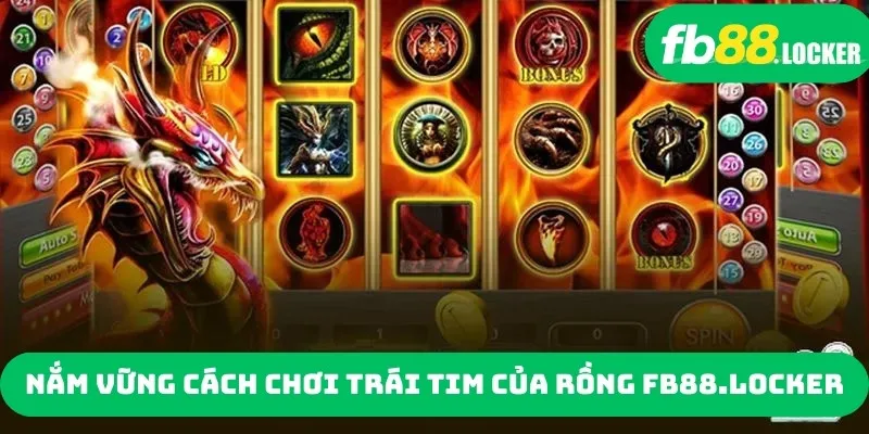 Nắm vững cách chơi Trái tim của Rồng wholesalenfljerseys.us.org